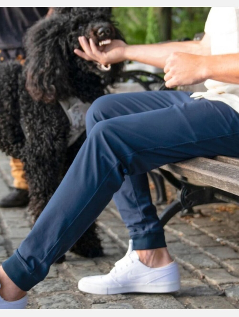 Birddog Boom For You Boomstick Joggers Pants Navy Blue Green